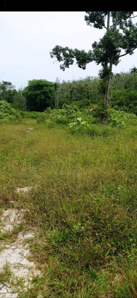 Tanah 6.8 Ekar, Telekong, Kuala Krai Kelantan