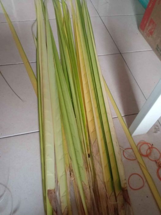 Ketupat siap masak