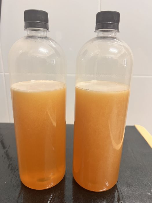 Madu Lebah Tualang Original Hutan